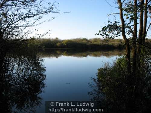 Coole Park, County Galway